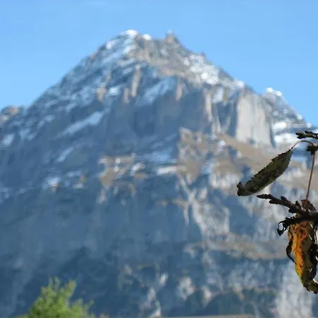 Gletschertal グリンデルヴァルト