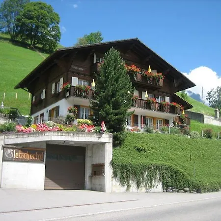 Gletschertal Hotel Grindelwald